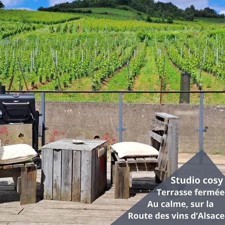 Au Pied Des Vignes, Cocon Douillet Et Chaleureux ! Apartment Bergheim Exterior photo