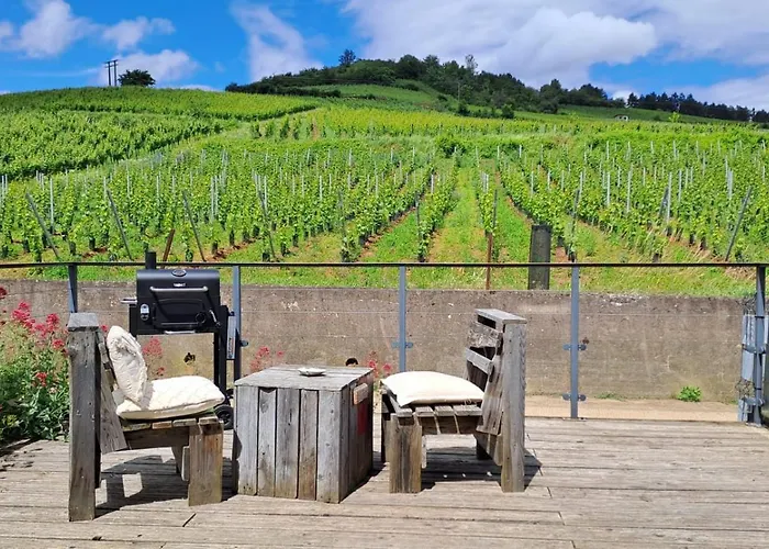 Au Pied Des Vignes, Cocon Douillet Et Chaleureux !