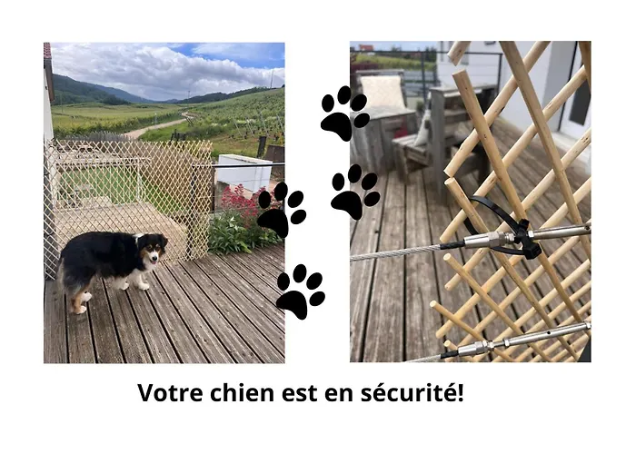 Au Pied Des Vignes, Cocon Douillet Et Chaleureux !