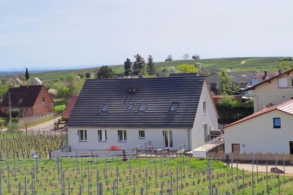 Au Pied Des Vignes, Cocon Douillet Et Chaleureux ! Apartment Bergheim