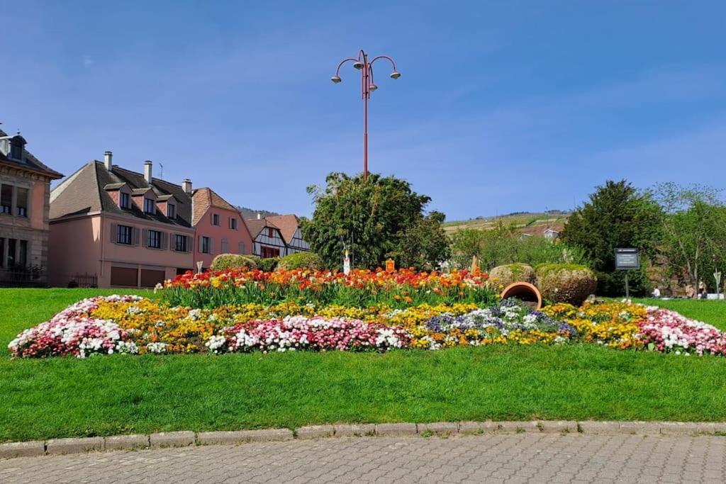 Au Pied Des Vignes, Cocon Douillet Et Chaleureux ! Apartment *