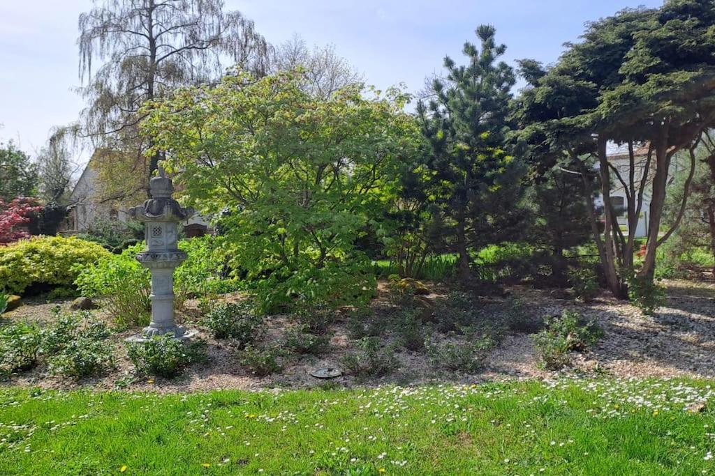 Apartment Au Pied Des Vignes, Cocon Douillet Et Chaleureux ! Bergheim