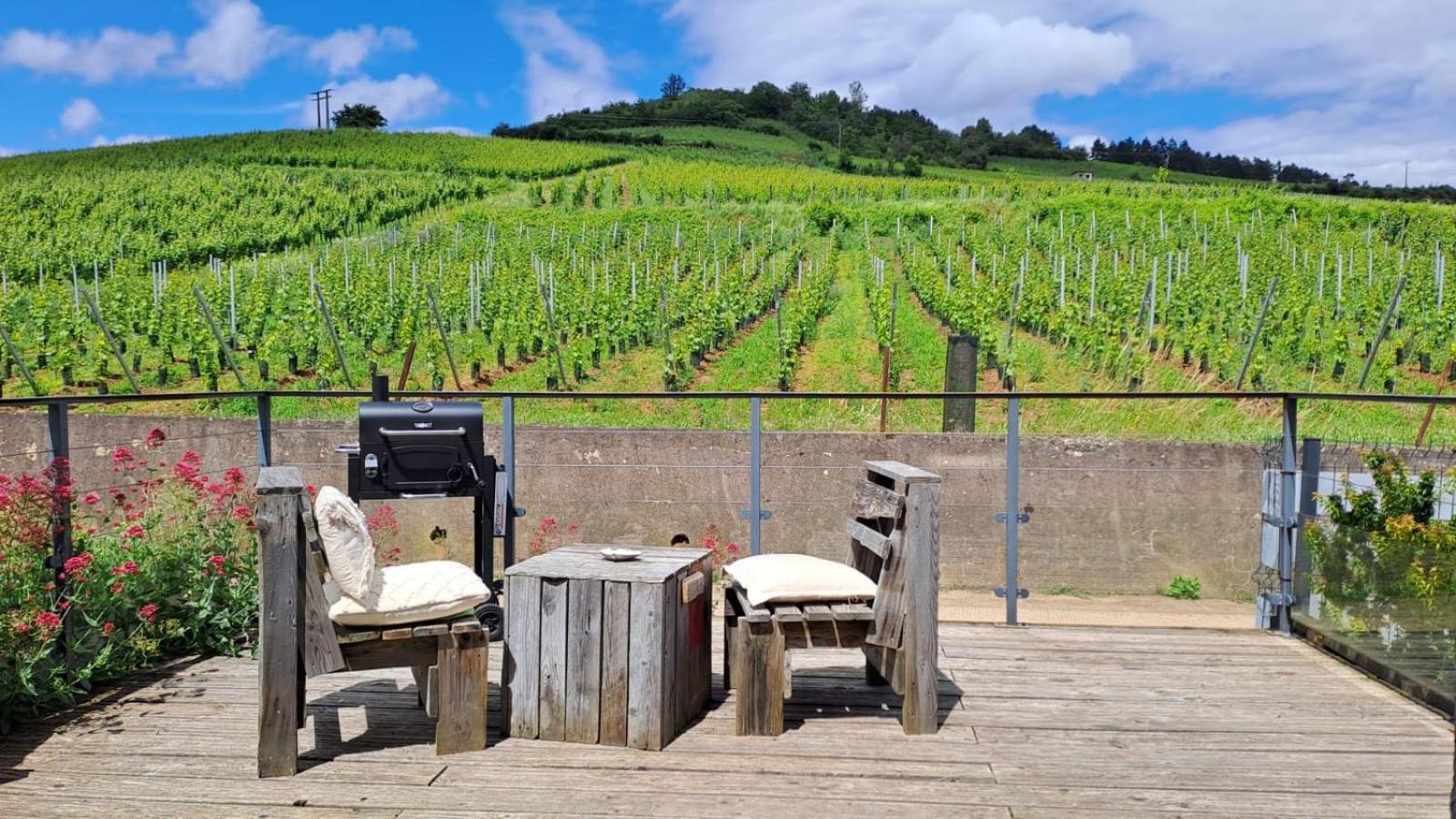Au Pied Des Vignes, Cocon Douillet Et Chaleureux ! *