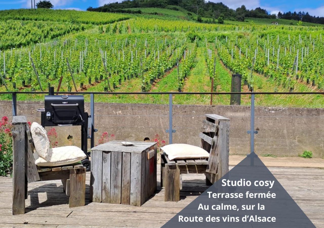 Au Pied Des Vignes, Cocon Douillet Et Chaleureux ! Apartment *