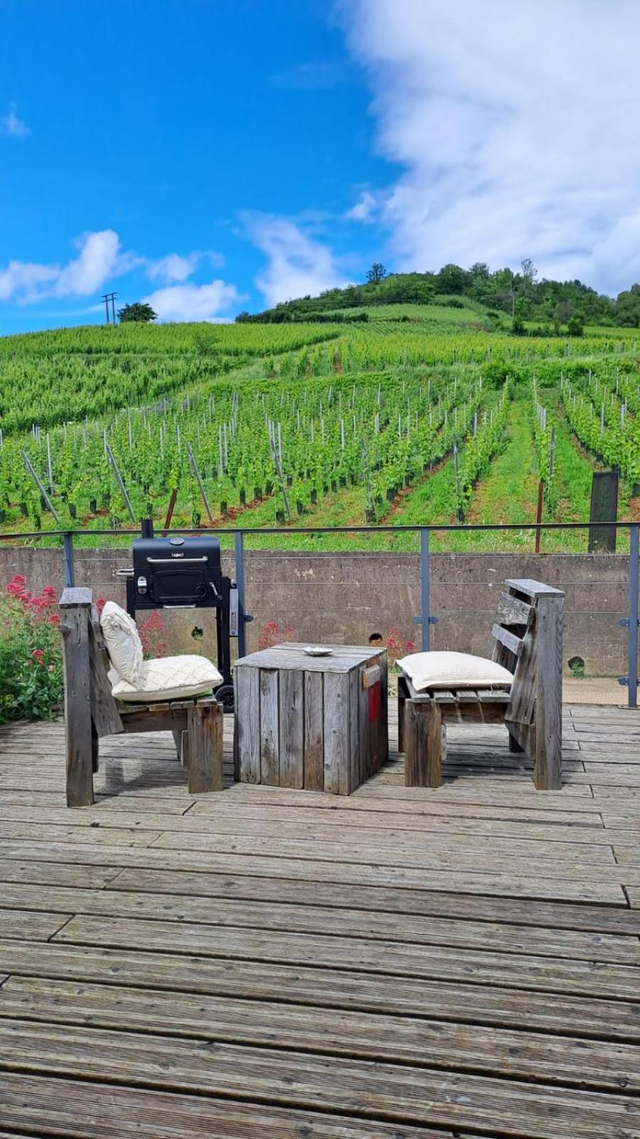 Apartment Au Pied Des Vignes, Cocon Douillet Et Chaleureux ! *